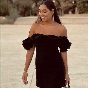 NWT Zara Ruffle Sleeve Dress